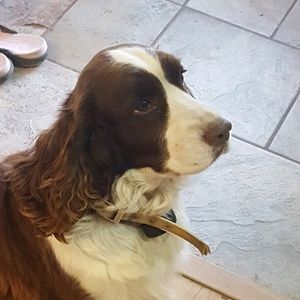 Meet your Posher, Ash